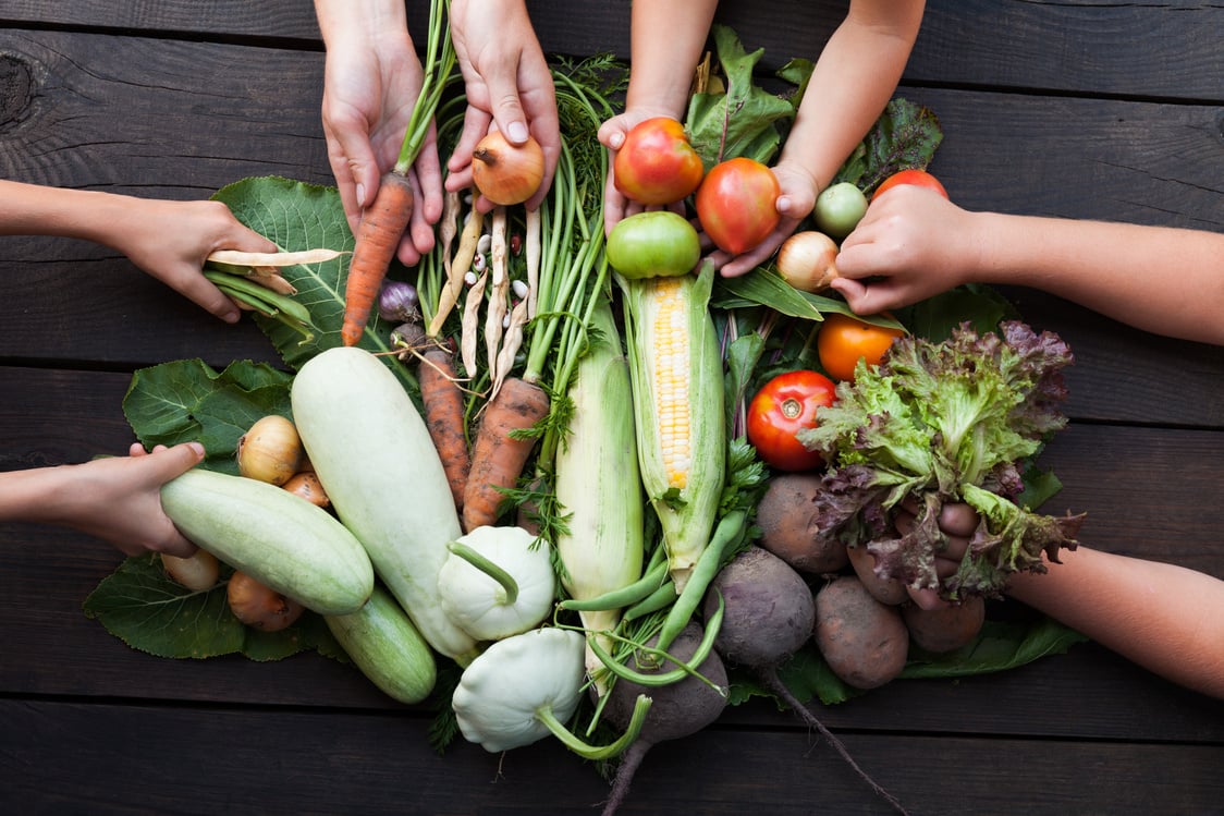 Fresh nutrient vegetarian food, farming sustainable